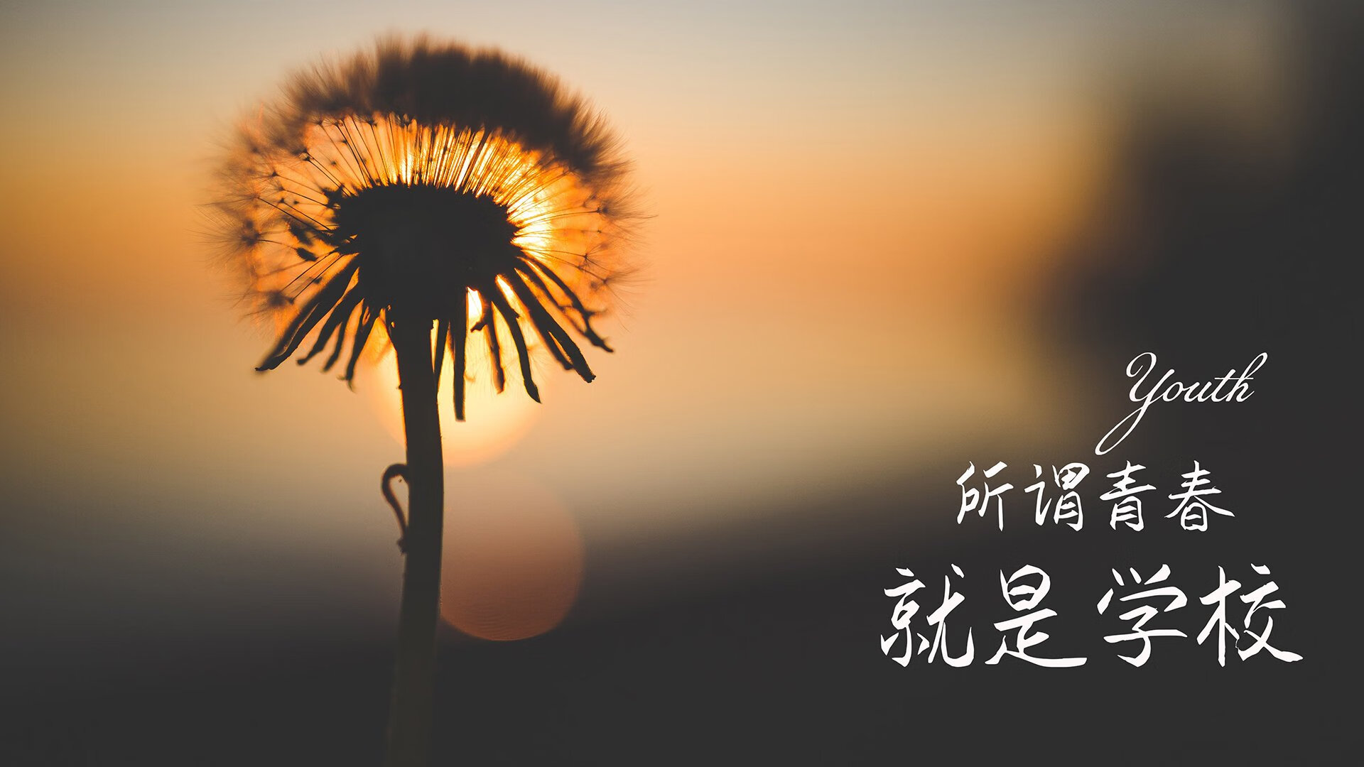 开云体育网页版-中超年度传控关键回合成功率趋势，中超控股新闻