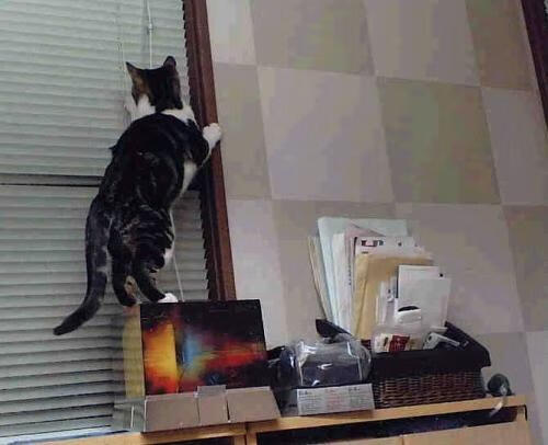 田径赛季训练计划科学合理分配，田径赛季训练计划科学合理分配怎么写