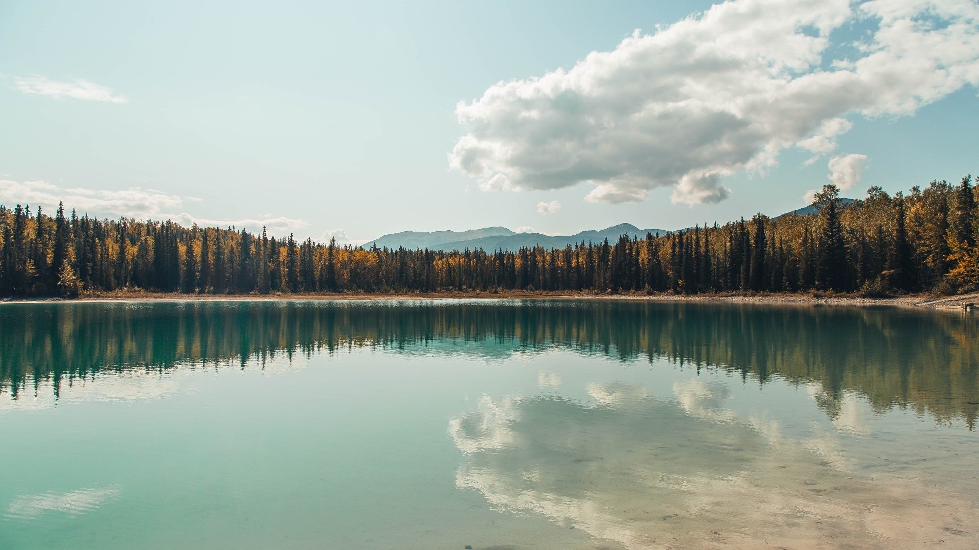 智能裁判系统提升执法公正性,赢得广泛认可,智能车裁判系统